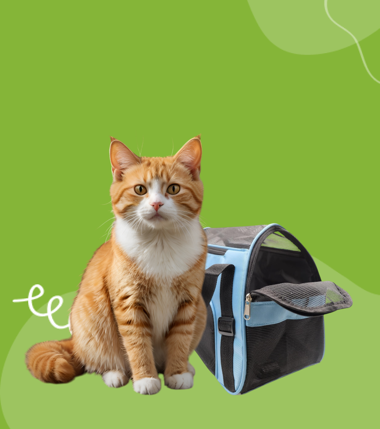 Pet Travel Bags