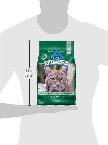 Blue Buffalo Wilderness Natural High Protein, Grain Free Dry Food for Adult Cats, Salmon, 11-lb Bag