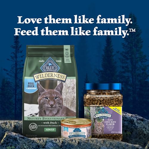 Blue Buffalo Wilderness Natural High Protein, Grain Free Dry Food for Adult Cats, Salmon, 11-lb Bag