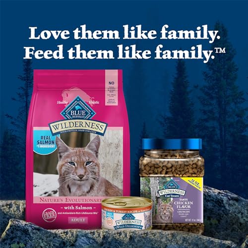 Blue Buffalo Wilderness Natural High Protein, Grain Free Dry Food for Adult Cats, Salmon, 11-lb Bag