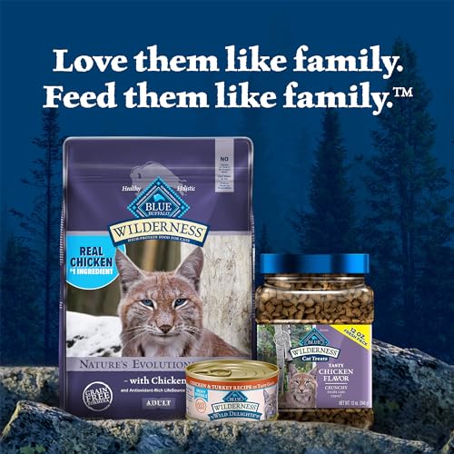 Blue Buffalo Wilderness Natural High Protein, Grain Free Dry Food for Adult Cats, Salmon, 11-lb Bag