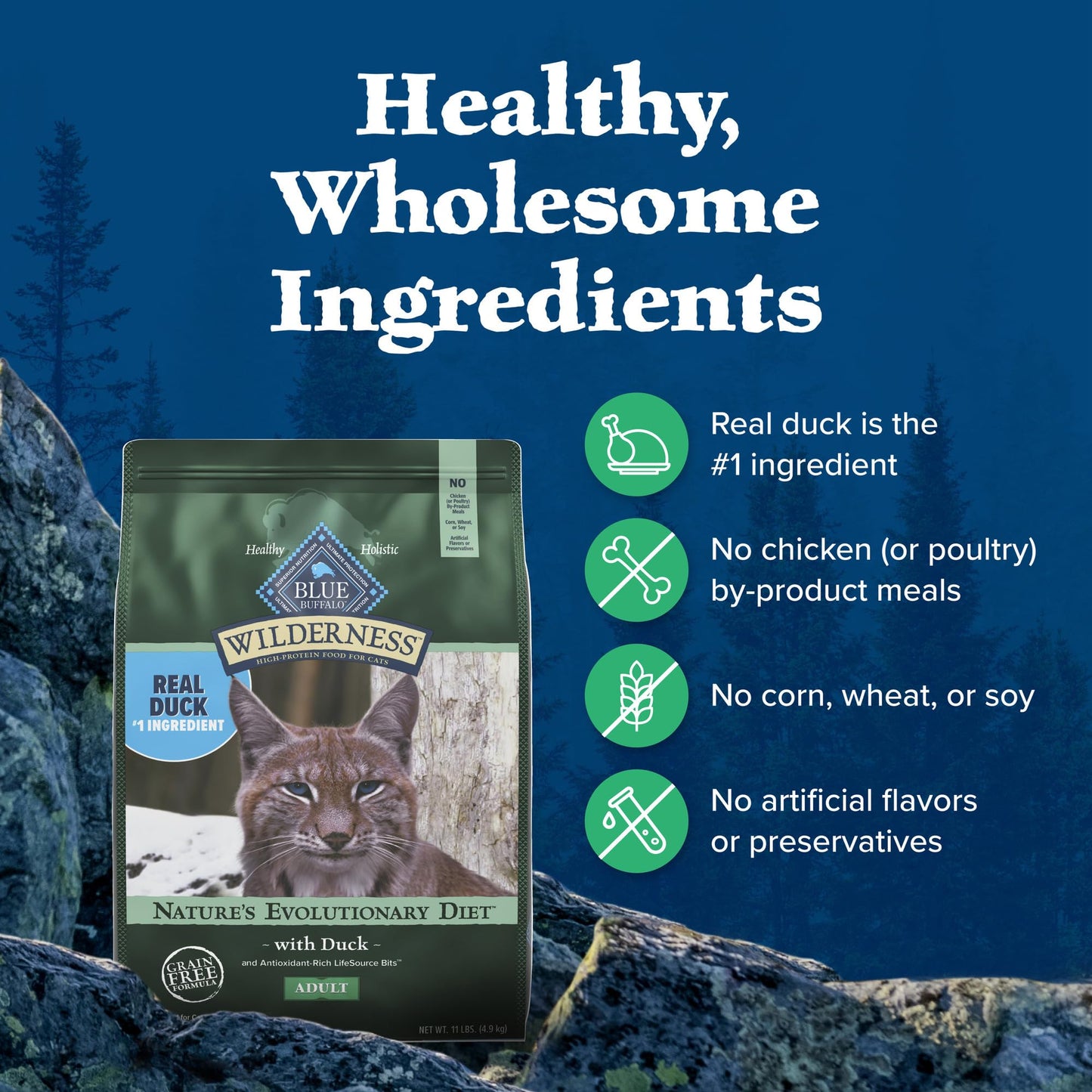 Blue Buffalo Wilderness Natural High Protein, Grain Free Dry Food for Adult Cats, Salmon, 11-lb Bag