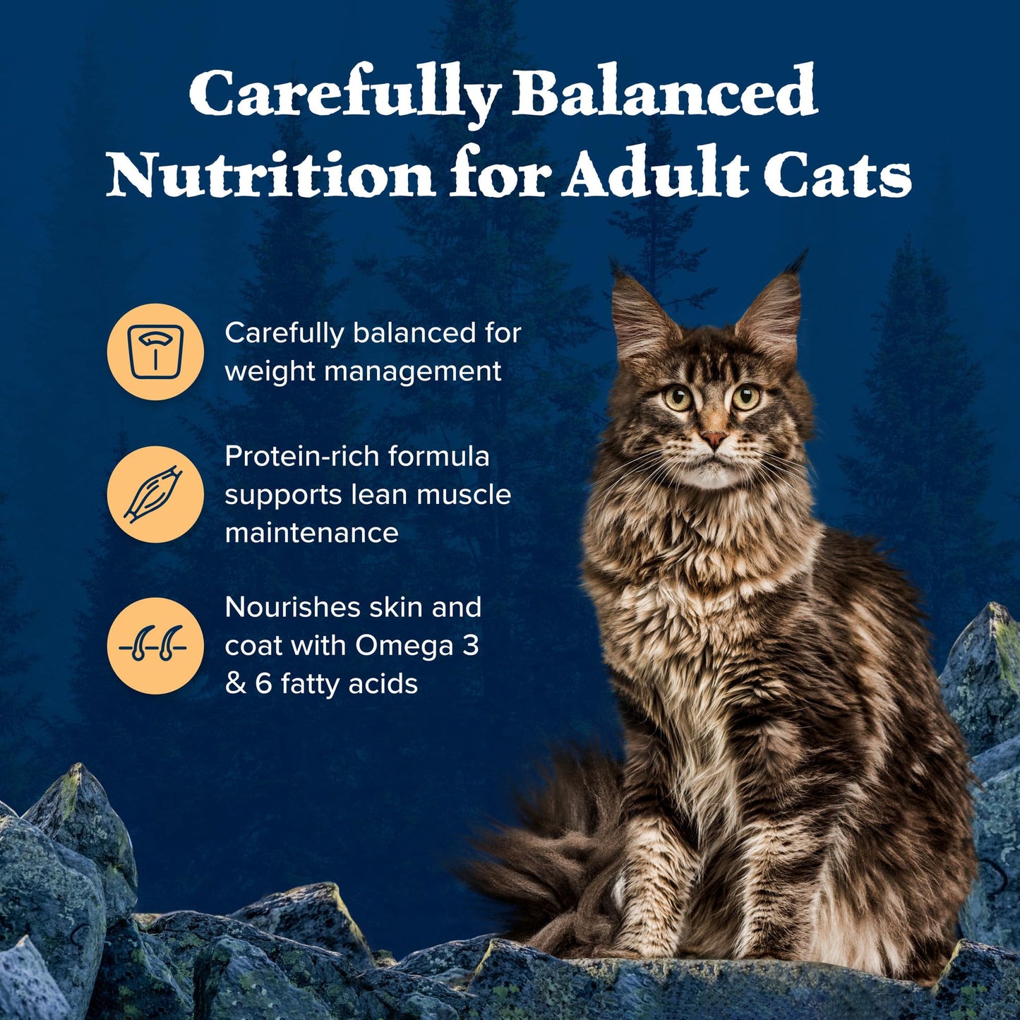 Blue Buffalo Wilderness High-Protein, Grain-Free Natural Dry Food for Adult Cats, Weight Control, Chicken, 11-lb. Bag