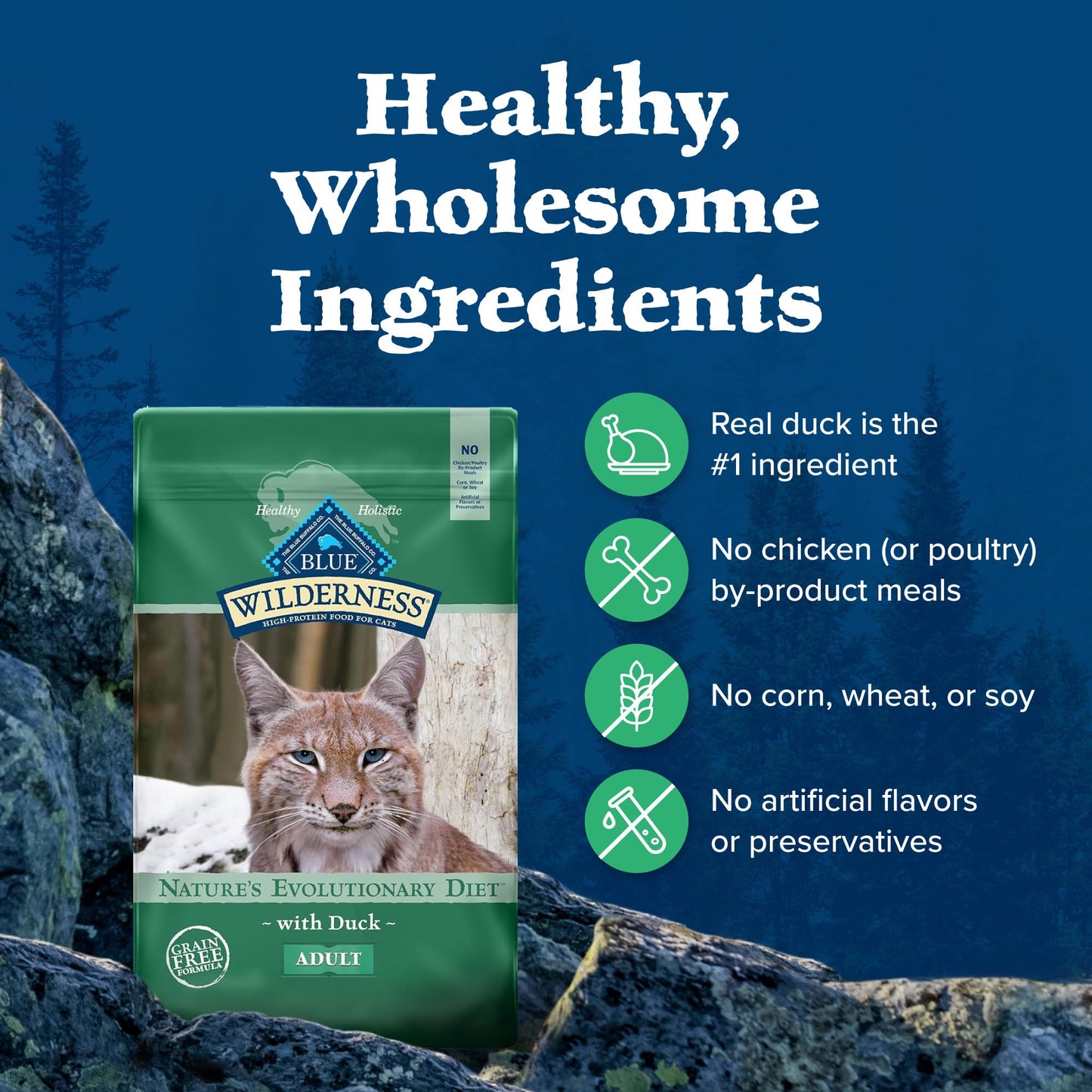 Blue Buffalo Wilderness Natural High Protein, Grain Free Dry Food for Adult Cats, Salmon, 11-lb Bag