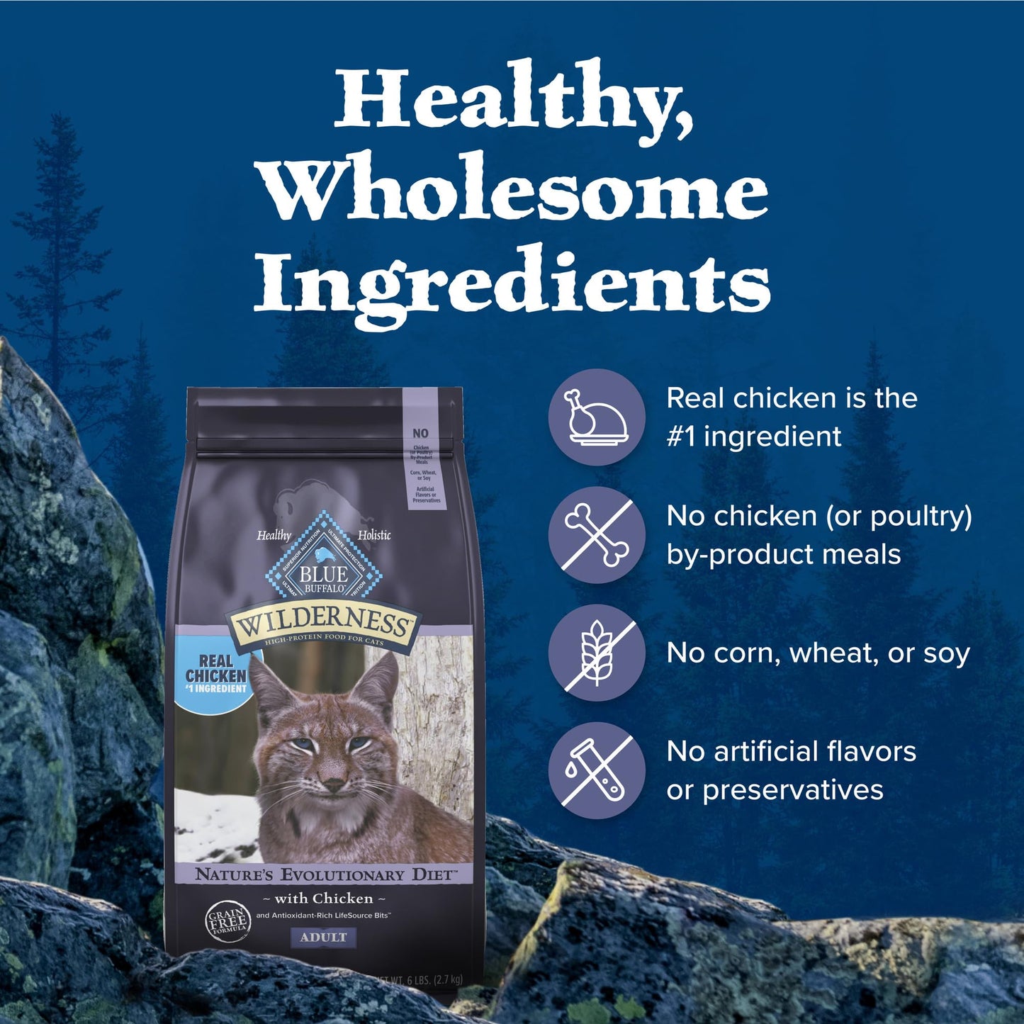 Blue Buffalo Wilderness Natural High Protein, Grain Free Dry Food for Adult Cats, Salmon, 11-lb Bag