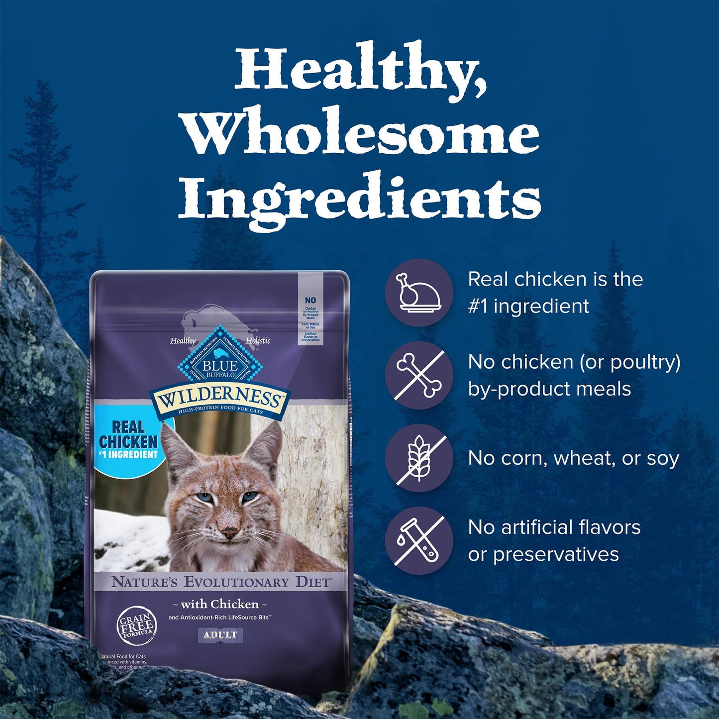 Blue Buffalo Wilderness Natural High Protein, Grain Free Dry Food for Adult Cats, Salmon, 11-lb Bag